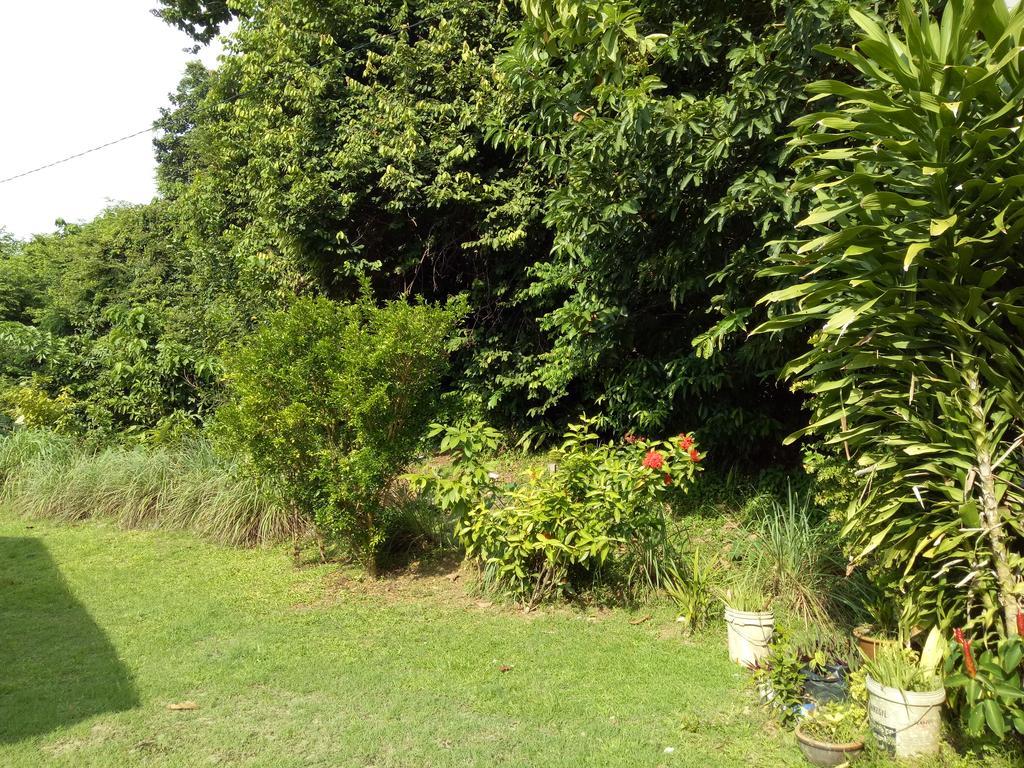 Nas Villaria Langkawi Pantai Cenang  Buitenkant foto